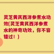 灵芝黄芪西洋参煮水功效(灵芝黄芪西洋参煮水的神奇功效，你不容错过！)