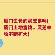 厦门生长的灵芝多吗(厦门土地富饶，灵芝丰收不断扩大)