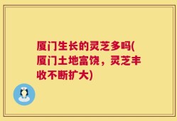 厦门生长的灵芝多吗(厦门土地富饶，灵芝丰收不断扩大)
