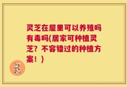 灵芝在屋里可以养殖吗有毒吗(居家可种植灵芝？不容错过的种植方案！)