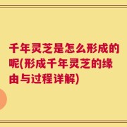 千年灵芝是怎么形成的呢(形成千年灵芝的缘由与过程详解)