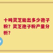 十吨灵芝能出多少孢子粉？灵芝孢子粉产量分析？