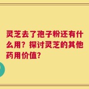 灵芝去了孢子粉还有什么用？探讨灵芝的其他药用价值？