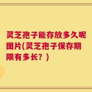 灵芝孢子能存放多久呢图片(灵芝孢子保存期限有多长？)