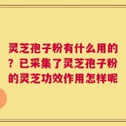 灵芝孢子粉有什么用的？已采集了灵芝孢子粉的灵芝功效作用怎样呢
