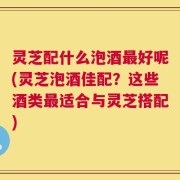 灵芝配什么泡酒最好呢(灵芝泡酒佳配？这些酒类最适合与灵芝搭配)