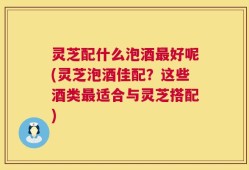 灵芝配什么泡酒最好呢(灵芝泡酒佳配？这些酒类最适合与灵芝搭配)