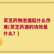 灵芝药物泡酒起什么作用(灵芝药酒的功效是什么？)