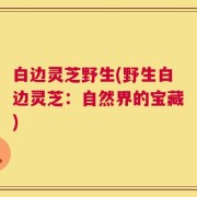 白边灵芝野生(野生白边灵芝：自然界的宝藏)