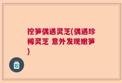 挖笋偶遇灵芝(偶遇珍稀灵芝 意外发现嫩笋)