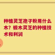 种植灵芝孢子粉用什么木？椴木灵芝的种植技术和利润