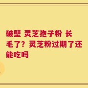 破壁 灵芝孢子粉 长毛了？灵芝粉过期了还能吃吗