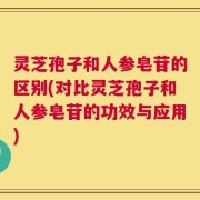 灵芝孢子和人参皂苷的区别(对比灵芝孢子和人参皂苷的功效与应用)