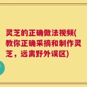 灵芝的正确做法视频(教你正确采摘和制作灵芝，远离野外误区)