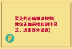 灵芝的正确做法视频(教你正确采摘和制作灵芝，远离野外误区)