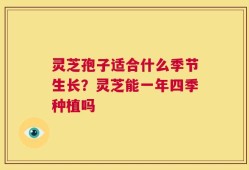 灵芝孢子适合什么季节生长？灵芝能一年四季种植吗