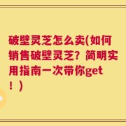 破壁灵芝怎么卖(如何销售破壁灵芝？简明实用指南一次带你get！)