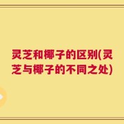 灵芝和椰子的区别(灵芝与椰子的不同之处)