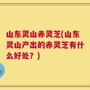 山东灵山赤灵芝(山东灵山产出的赤灵芝有什么好处？)