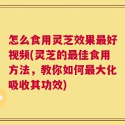 怎么食用灵芝效果最好视频(灵芝的最佳食用方法，教你如何最大化吸收其功效)