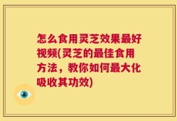怎么食用灵芝效果最好视频(灵芝的最佳食用方法，教你如何最大化吸收其功效)