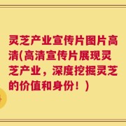 灵芝产业宣传片图片高清(高清宣传片展现灵芝产业，深度挖掘灵芝的价值和身份！)