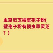 虫草灵芝被壁孢子粉(壁孢子粉有损虫草灵芝？)