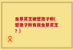 虫草灵芝被壁孢子粉(壁孢子粉有损虫草灵芝？)