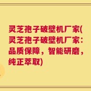 灵芝孢子破壁机厂家(灵芝孢子破壁机厂家：品质保障，智能研磨，纯正萃取)