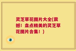 灵芝草花图片大全(震撼！盘点精美的灵芝草花图片合集！)