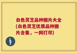 白色灵芝品种图片大全(白色灵芝优质品种图片合集，一网打尽)
