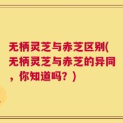 无柄灵芝与赤芝区别(无柄灵芝与赤芝的异同，你知道吗？)