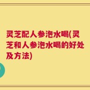 灵芝配人参泡水喝(灵芝和人参泡水喝的好处及方法)