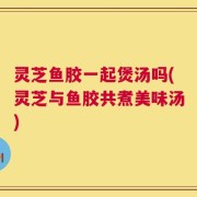 灵芝鱼胶一起煲汤吗(灵芝与鱼胶共煮美味汤)