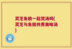 灵芝鱼胶一起煲汤吗(灵芝与鱼胶共煮美味汤)