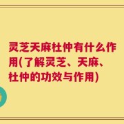 灵芝天麻杜仲有什么作用(了解灵芝、天麻、杜仲的功效与作用)