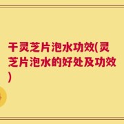 干灵芝片泡水功效(灵芝片泡水的好处及功效)