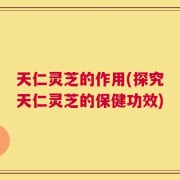 天仁灵芝的作用(探究天仁灵芝的保健功效)