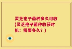灵芝孢子菌种多久可收(灵芝孢子菌种收获时机：需要多久？)