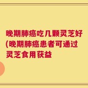 晚期肺癌吃几颗灵芝好(晚期肺癌患者可通过灵芝食用获益