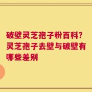 破壁灵芝孢子粉百科？灵芝孢子去壁与破壁有哪些差别