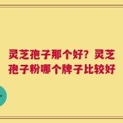 灵芝孢子那个好？灵芝孢子粉哪个牌子比较好