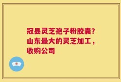 冠县灵芝孢子粉胶囊？山东最大的灵芝加工，收购公司