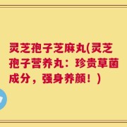 灵芝孢子芝麻丸(灵芝孢子营养丸：珍贵草菌成分，强身养颜！)