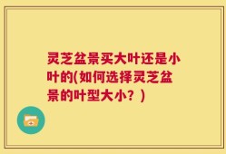 灵芝盆景买大叶还是小叶的(如何选择灵芝盆景的叶型大小？)