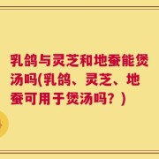 乳鸽与灵芝和地蚕能煲汤吗(乳鸽、灵芝、地蚕可用于煲汤吗？)