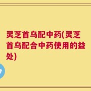 灵芝首乌配中药(灵芝首乌配合中药使用的益处)