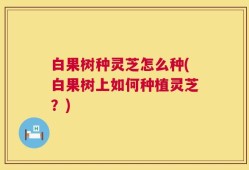 白果树种灵芝怎么种(白果树上如何种植灵芝？)
