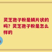 灵芝孢子粉是鳞片状的吗？灵芝孢子粉是怎么样的