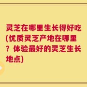 灵芝在哪里生长得好吃(优质灵芝产地在哪里？体验最好的灵芝生长地点)
